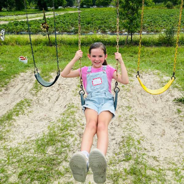 Strawberry Picking 2024 swinging